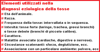 Come definire vermi alla persona